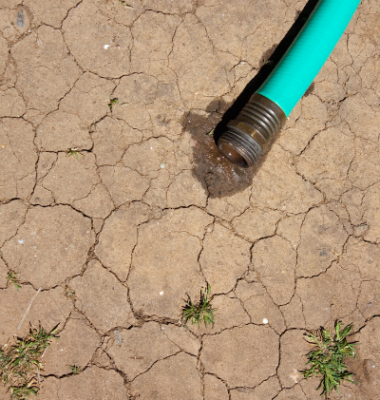 Dry Soil Solution